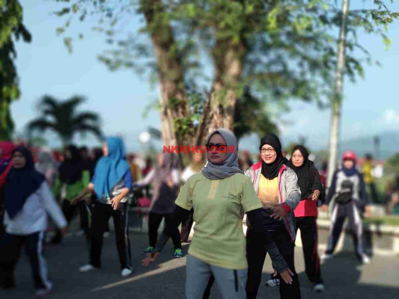 Memperingati HKN, Dinkes Luwu Utara Gelar Senam Sehat Massal